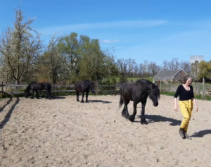 Volgen uit vrije wil