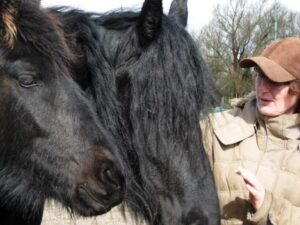 Verbinding hoofd hart hand