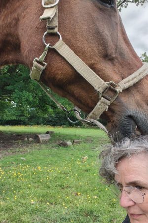 Paard Oakly begroet Miranda.